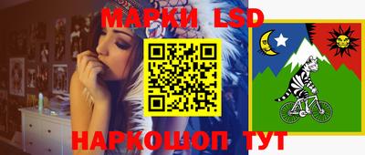 spice Аргун