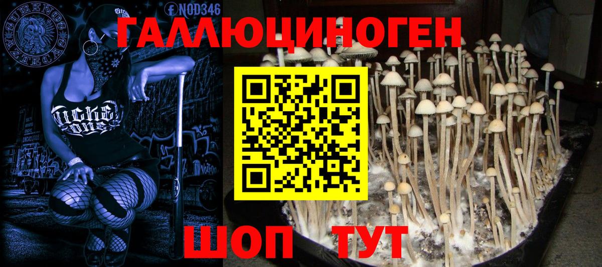 Псилоцибиновые грибы прущие грибы Балахна