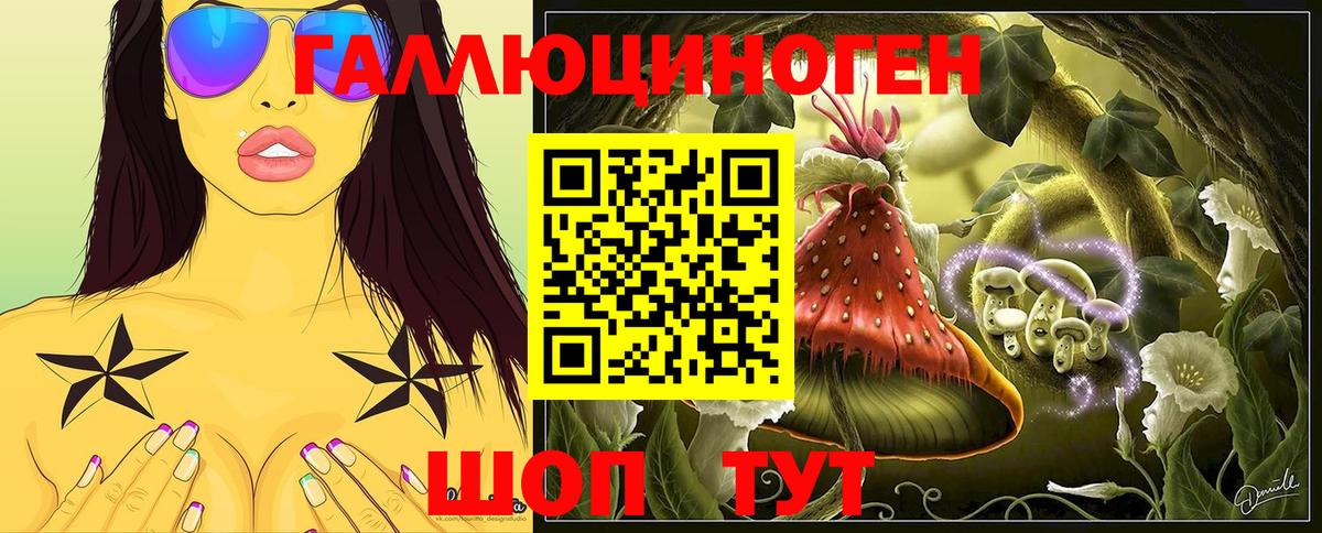 Псилоцибиновые грибы Magic Shrooms  Вход с VPN  Балахна  Псилоцибиновые грибы GOLDEN TEACHER 